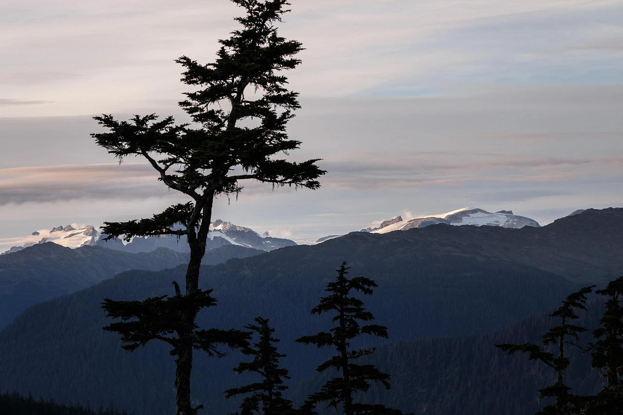 Alaska - DCS Photography
