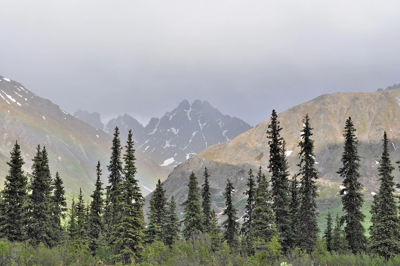 Alaska - DCS Photography