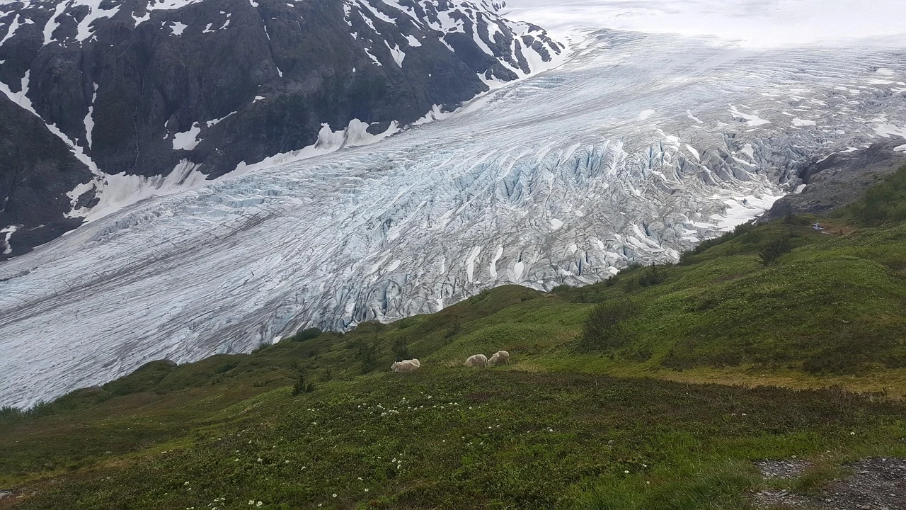 Alaska - DCS Photography